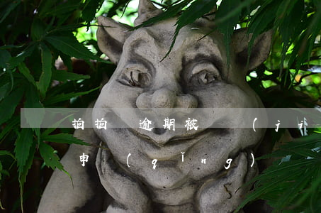 拍拍貸逾期被凍結(jié)銀行卡(拍拍貸申請(qǐng)凍結(jié)我的銀行卡或者其他財(cái)產(chǎn))