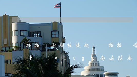 拍拍貸逾期被提起訴訟(拍拍貸借款逾期說已申請(qǐng)向法院起訴)