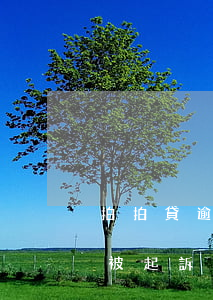 拍拍貸逾期被起訴身份證用不了（拍拍貸逾期被起訴身份證用不了）