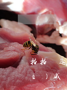 拍拍貸逾期要上門(mén)打電話(huà)威脅我-拍拍貸逾期要上門(mén)打電話(huà)威脅我怎么辦