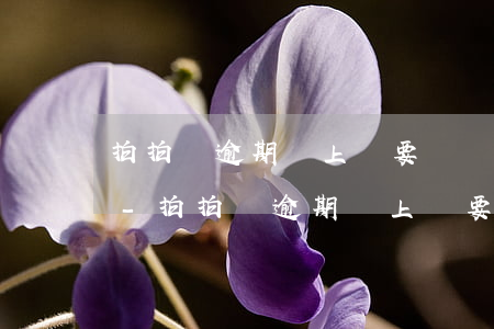 拍拍貸逾期說上門要凍結醫(yī)療保險-拍拍貸逾期說上門要凍結醫(yī)療保險卡