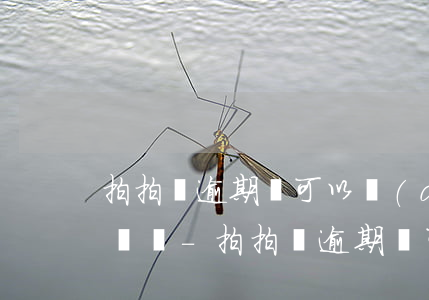 拍拍貸逾期說可以調(diào)最近通話記錄-拍拍貸逾期說可以調(diào)最近通話記錄了
