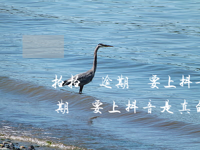 拍拍貸逾期說要上抖音是真的嗎-拍拍貸逾期說要上抖音是真的嗎還是假的