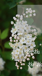 拍拍貸逾期說要凍結(jié)微信支付寶(拍拍貸會不會凍結(jié)支付寶微信)