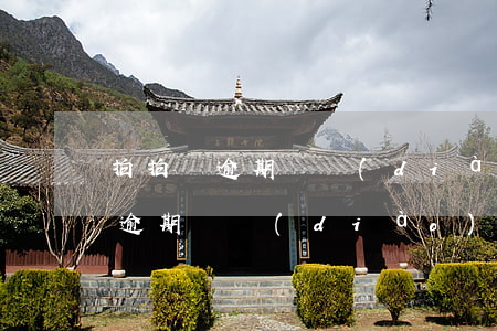 拍拍貸逾期說調(diào)取檔案(拍拍貸逾期說調(diào)取檔案是真的嗎)