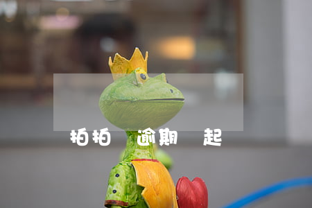 拍拍貸逾期說起訴