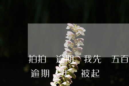 拍拍貸逾期讓我先給五百(拍拍貸欠款一萬五逾期兩年會被起訴嗎)