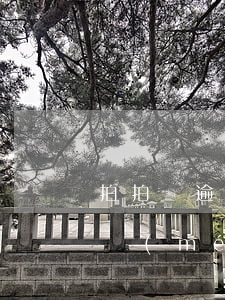拍拍貸逾期費(fèi)可以不還嗎(拍拍貸沒(méi)有逾期過(guò),為什么不能借款了)