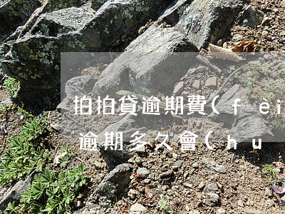 拍拍貸逾期費(fèi)可以投訴嗎(拍拍貸逾期多久會(huì)被起訴會(huì)有什么后果)