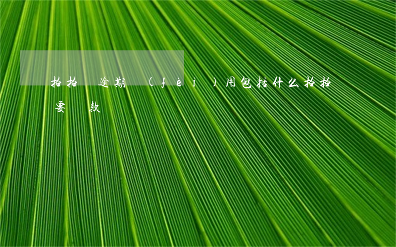 拍拍貸逾期費(fèi)用包括什么(拍拍貸要還款嗎)