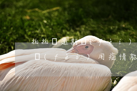 拍拍貸逾期費(fèi)用 疫情(拍拍貸逾期費(fèi)用 疫情能退嗎)
