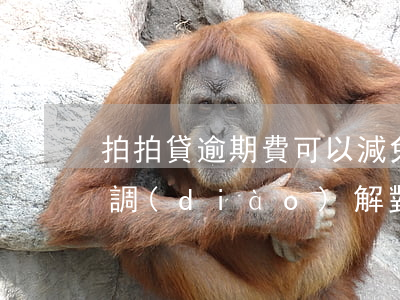 拍拍貸逾期費可以減免嗎(拍拍貸逾期還款說調(diào)解對公還款減免是真的嗎)