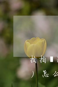 拍拍貸逾期賬單圖片(拍拍貸逾期會(huì)怎么樣?逾期后果嚴(yán)重嗎?)