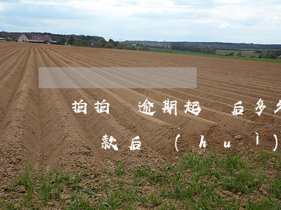 拍拍貸逾期起訴后多久(拍拍貸逾期法院起訴,還款后會(huì)撤訴嗎)