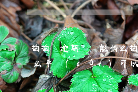 拍拍貸逾期過還能借么 拍拍貸有逾期還有什么平臺(tái)可以貸到款