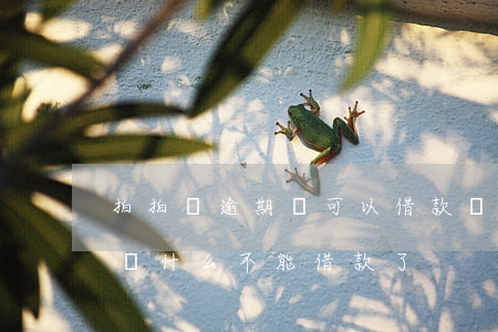 拍拍貸逾期還可以借款嗎(拍拍貸沒有逾期過,為什么不能借款了)