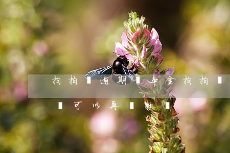 拍拍貸逾期 還本金(拍拍貸逾期了幾天還上后,還可以再貸款嗎)