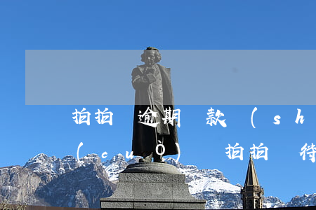 拍拍貸逾期還款數(shù)據(jù)錯(cuò)誤(拍拍貸待還記錄消失了)