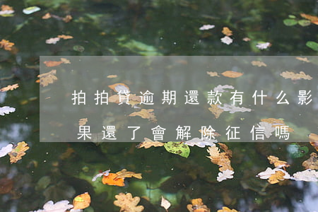 拍拍貸逾期還款有什么影響(拍拍貸有逾期如果還了會解除征信嗎?)