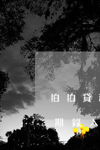 拍拍貸逾期錄入政審是什么意思-拍拍貸逾期錄入政審是什么意思啊