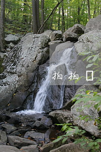 拍拍貸 逾期高收益