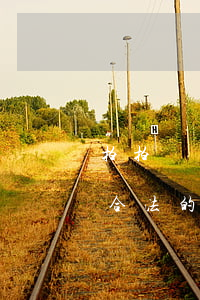 拍拍貸還不上怎么辦(拍拍貸正規(guī)合法的嗎)