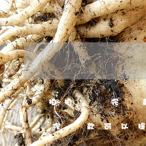 拍拍貸還完貸款可以提前還款嗎-拍拍貸還完貸款可以提前還款嗎安全嗎