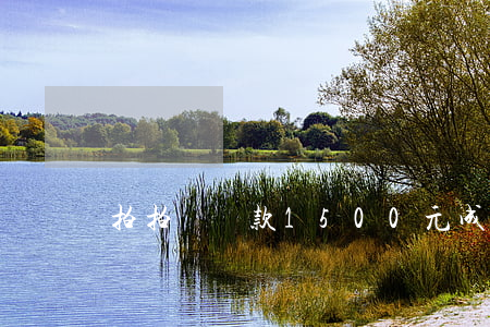 拍拍貸還款1500元成功截圖-