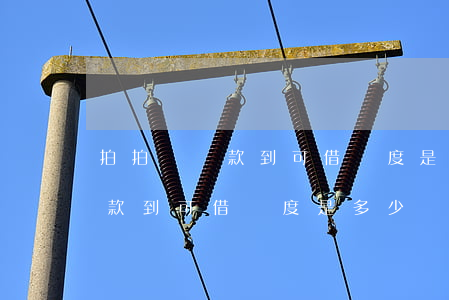 拍拍貸還款到可借額度是多少錢-拍拍貸還款到可借額度是多少錢啊