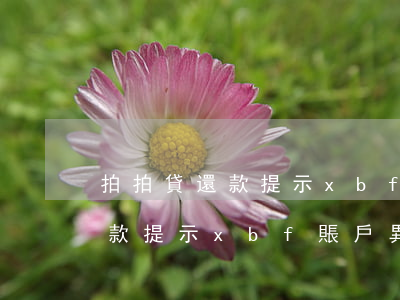 拍拍貸還款提示xbf賬戶異常-拍拍貸還款提示xbf賬戶異常怎么回事