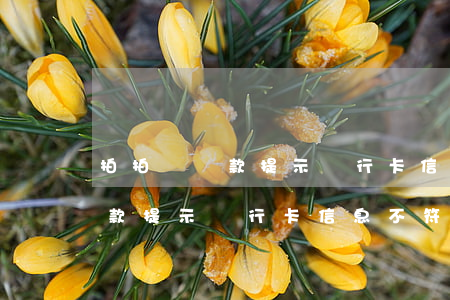 拍拍貸還款提示銀行卡信息不符-拍拍貸還款提示銀行卡信息不符怎么回事