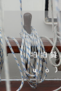 拍拍貸還款數(shù)據(jù)錯(cuò)誤是什么情況-拍拍貸還款數(shù)據(jù)錯(cuò)誤是什么情況啊