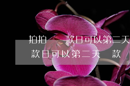 拍拍貸還款日可以第二天還款嗎-拍拍貸還款日可以第二天還款嗎安全嗎