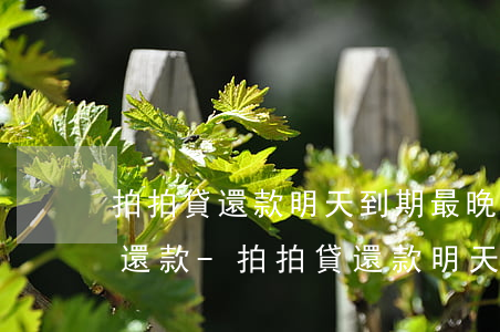 拍拍貸還款明天到期最晚幾點(diǎn)還款-拍拍貸還款明天到期最晚幾點(diǎn)還款啊