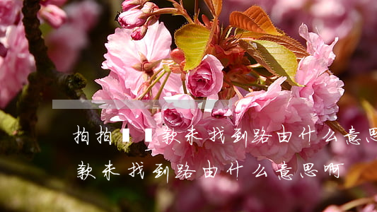 拍拍貸還款未找到路由什么意思-拍拍貸還款未找到路由什么意思啊