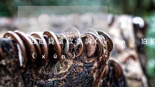 拍拍貸還款查詢(xún)（拍拍貸逾期查詢(xún)）