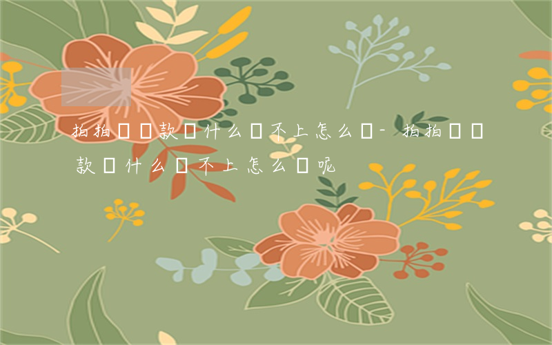 拍拍貸還款為什么還不上怎么辦-拍拍貸還款為什么還不上怎么辦呢