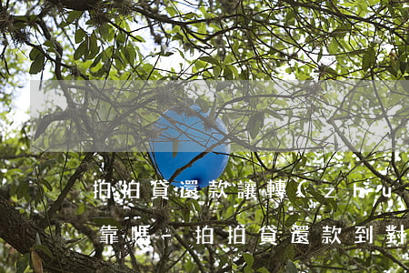 拍拍貸還款讓轉(zhuǎn)入公賬戶可靠嗎-拍拍貸還款到對公賬戶安全嗎