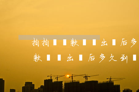 拍拍貸還款賬單出來后多久到賬-拍拍貸還款賬單出來后多久到賬啊