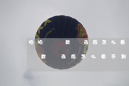拍拍貸還款進去后怎么看不到到賬-拍拍貸還款進去后怎么看不到到賬信息