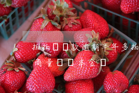 拍拍貸還款逾期半年多(拍拍貸逾期兩年可以商量歸還本金嗎?)