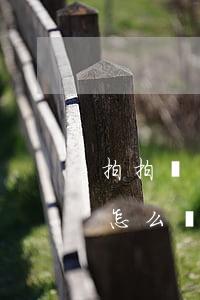 拍拍貸還款逾期會怎么樣(拍拍貸逾期2天會怎么樣?拍拍貸逾期后果介紹)