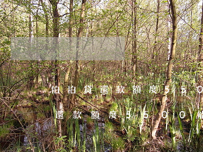 拍拍貸還款額度5500能借多少-拍拍貸還款額度5500能借多少錢