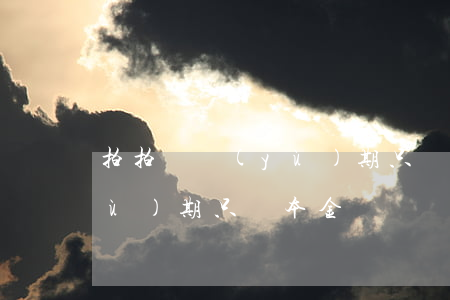 拍拍貸預(yù)期只還本金(拍拍貸預(yù)期只還本金嗎)