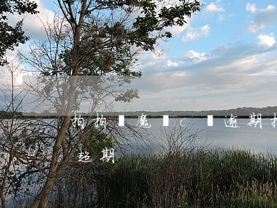 拍拍貸魔鏡c級逾期(拍拍貸嚴(yán)重超期)
