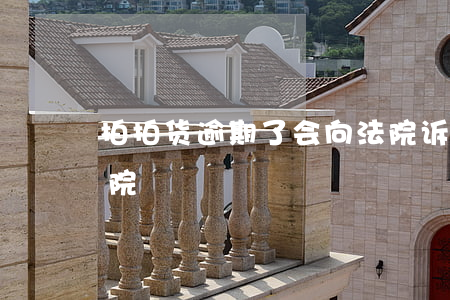 拍拍货逾期了会向法院诉讼么(拍拍贷起诉法院)
