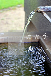拍拍贷1000逾期三年(拍拍贷欠一万多逾期快一年了会上门吗)