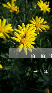 拍拍贷1500逾期2年(拍拍贷欠一万逾期一年要还16000这个合法)