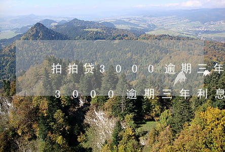 拍拍贷3000逾期三年利息多少-拍拍贷3000逾期三年利息多少