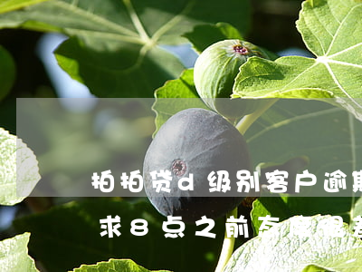 拍拍贷d级别客户逾期率(拍拍贷逾期一天要求8点之前,态度很差)